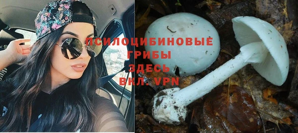 бутират Осинники